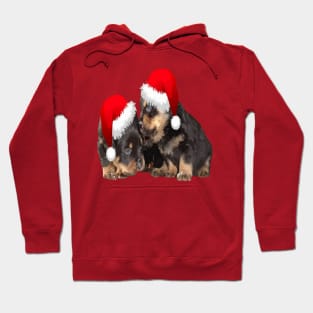 Christmas Rottweilers Wearing Festive Holiday Hats Hoodie